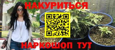 прущие грибы Конаково